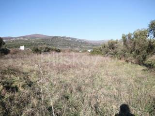 Poljoprivredno zemljište, Prodaja, Kaštela, Kaštel Štafilić