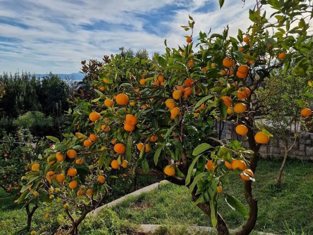 Stan u kući, Najam, Opatija - Okolica, Ičići