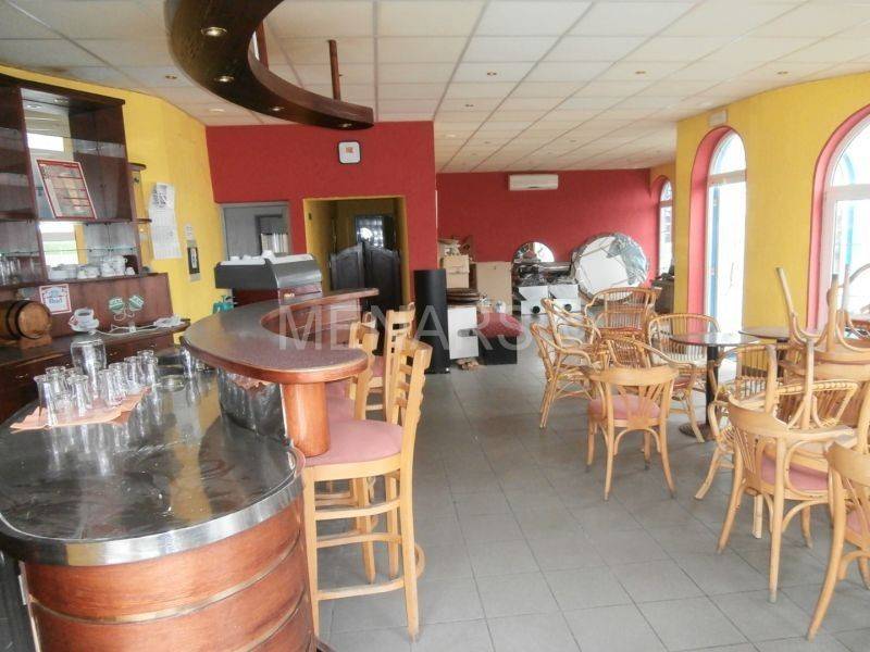 Poslovni prostor, Prodaja, Trnovec Bartolovečki, 379m²