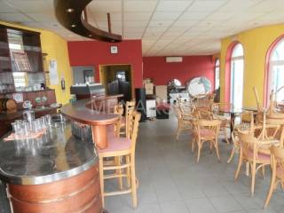 Poslovni prostor, Prodaja, Trnovec Bartolovečki, 379m²