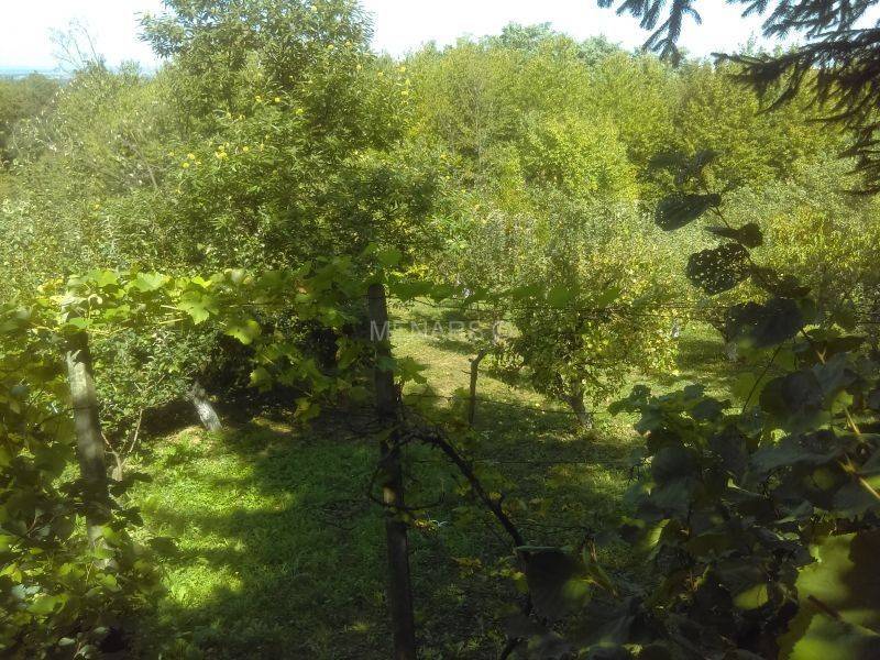 Kuća, Prodaja, Beretinec, 80m²