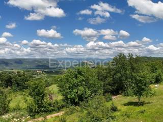 Poljoprivredno zemljište, Prodaja, Motovun, Motovun