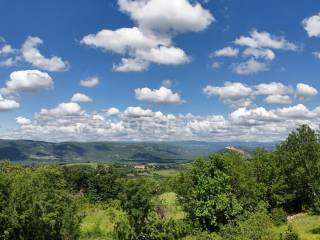 Poljoprivredno zemljište, Prodaja, Motovun, Motovun