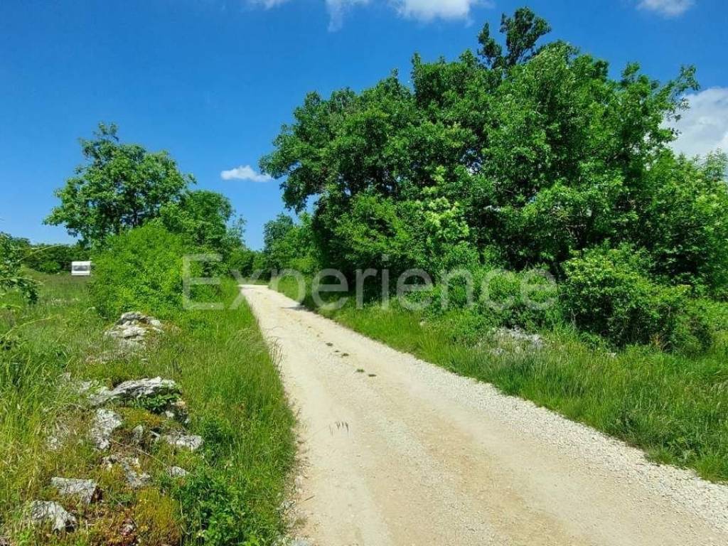 Poljoprivredno zemljište, Prodaja, Poreč, Baderna