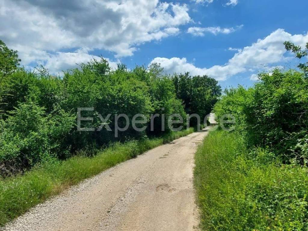 Poljoprivredno zemljište, Prodaja, Poreč, Baderna
