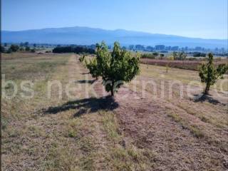 Građevinsko zemljište, Prodaja, Sinj, Turjaci