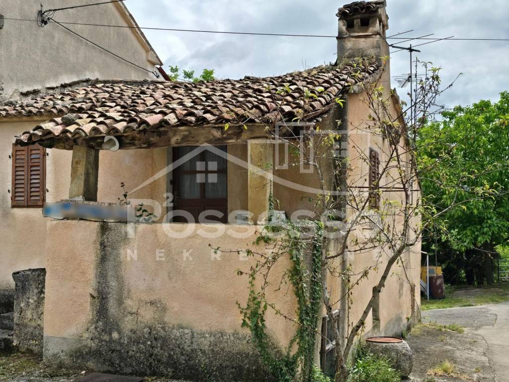 Buzet, Buzet