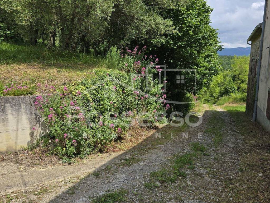 Buzet, Buzet