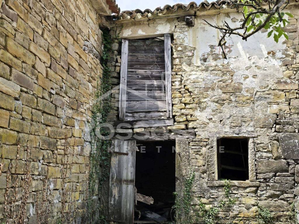 Buzet, Buzet