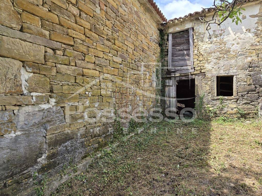 Buzet, Buzet