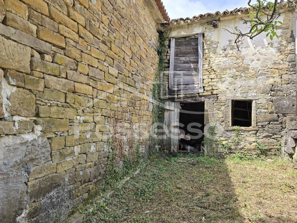 Buzet, Buzet