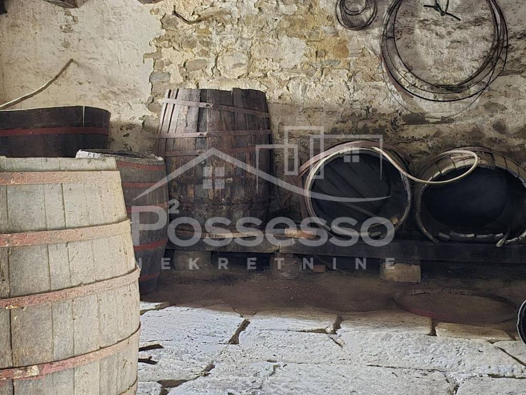 Buzet, Buzet