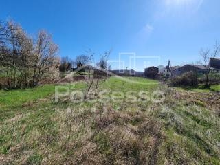 Buzet, Buzet