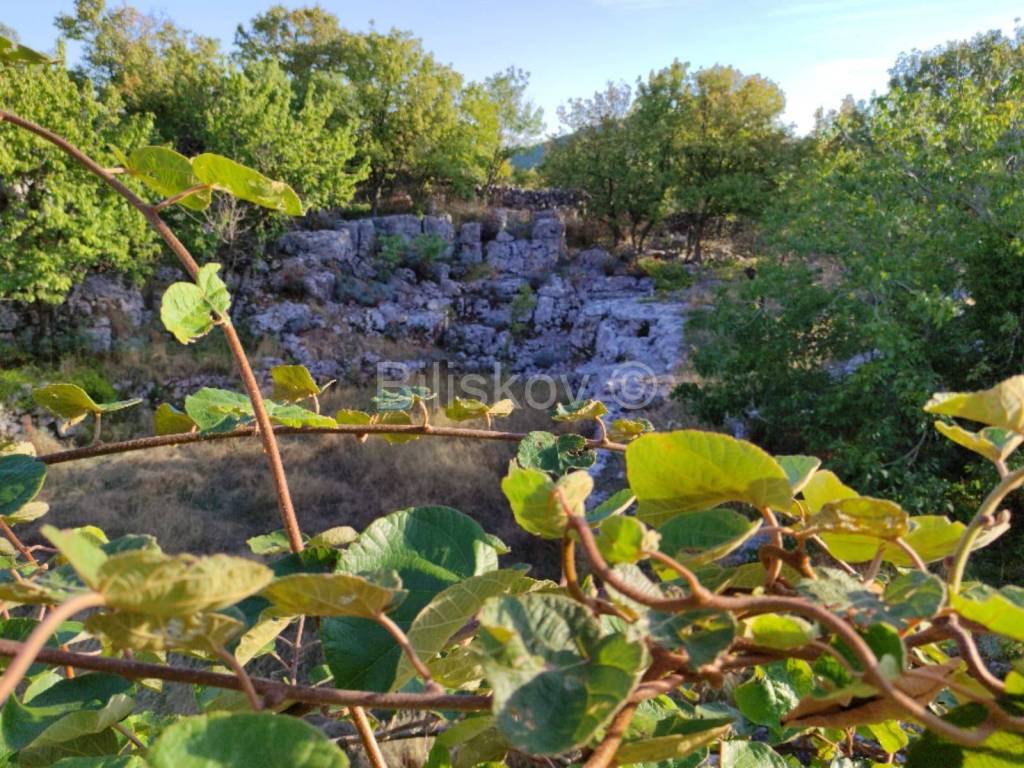 Samostojeća kuća, Prodaja, Pučišća, Gornji Humac