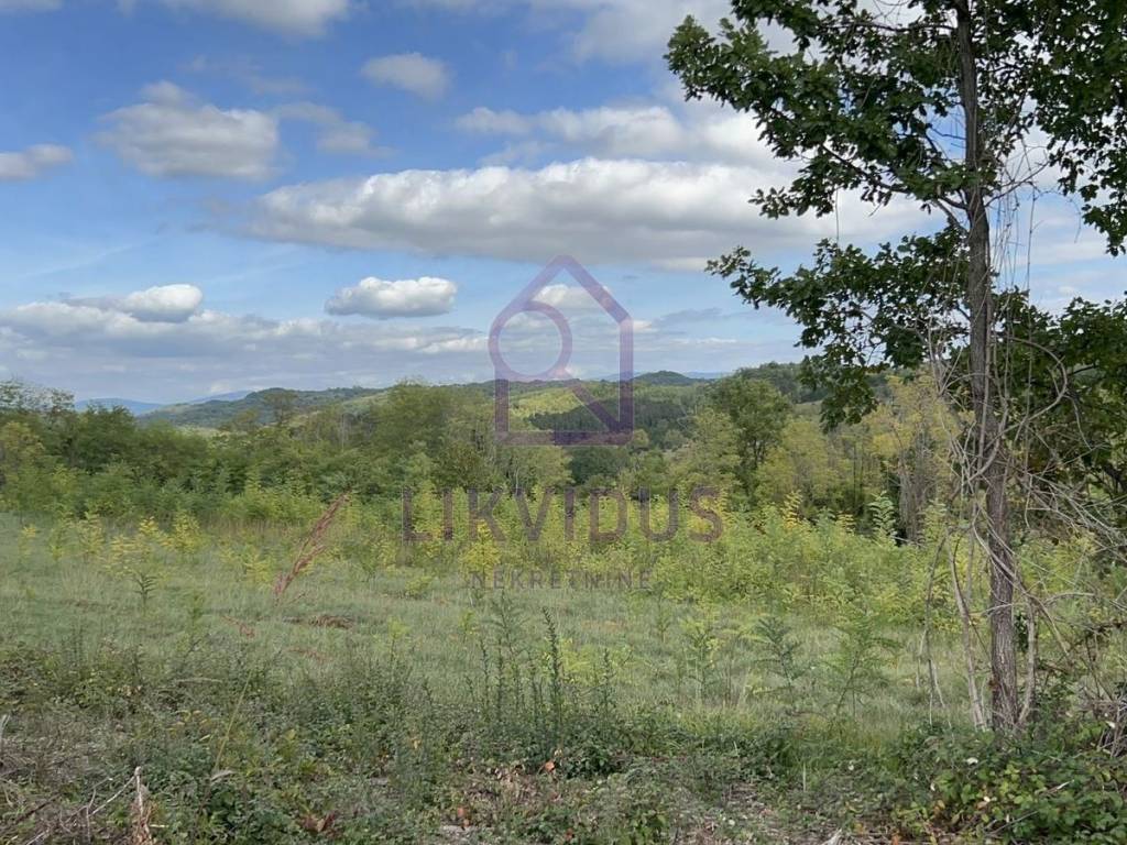 Građevinsko zemljište, Prodaja, Pazin - Okolica, Trviž