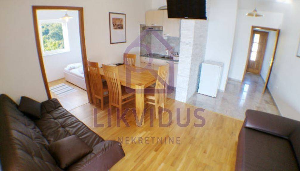 Apartmanska kuća, Prodaja, Raša, Drenje
