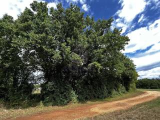 Građevinsko zemljište, Prodaja, Marčana, Hreljići