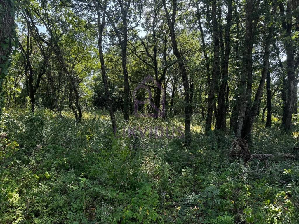 Građevinsko zemljište, Prodaja, Kanfanar, Burići