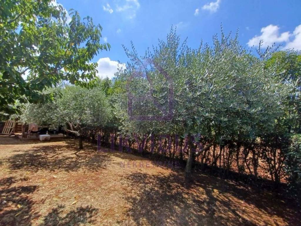 Obiteljska kuća, Prodaja, Kaštelir-Labinci, Rogovići