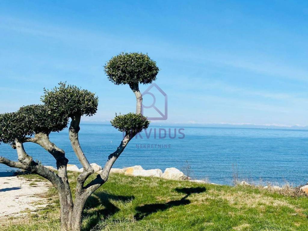 Dvojna kuća, Prodaja, Umag, Bašanija