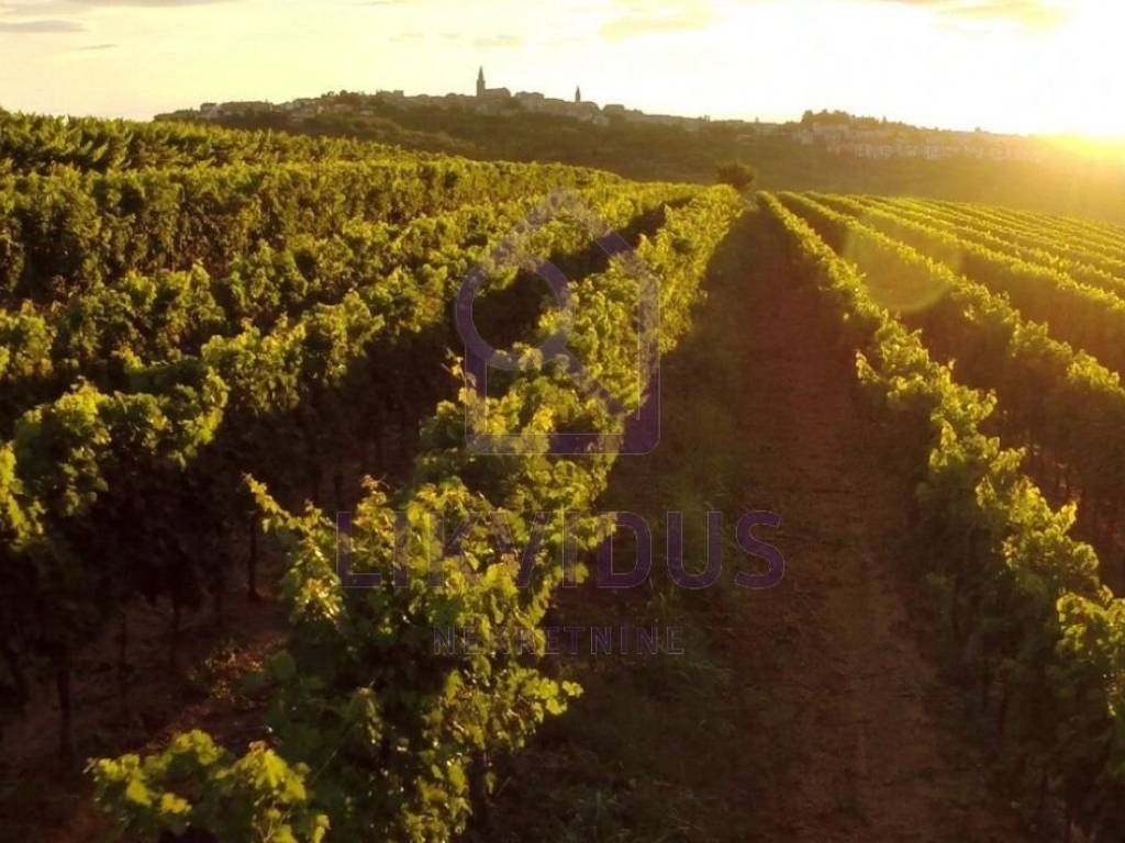 Luksuzna vila, Prodaja, Buje, Momjan