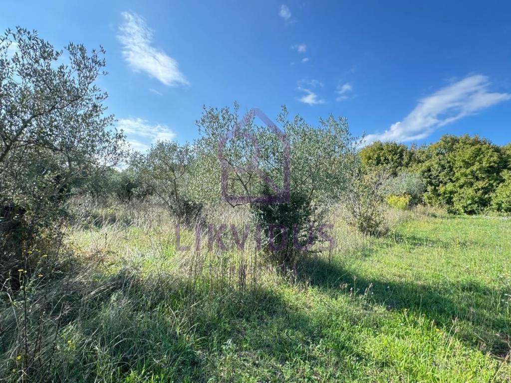 Građevinsko zemljište, Prodaja, Bale, Bale