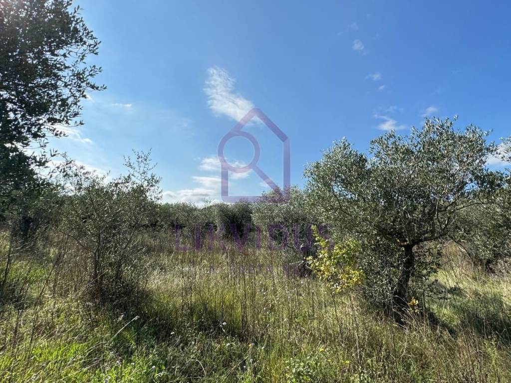 Građevinsko zemljište, Prodaja, Bale, Bale
