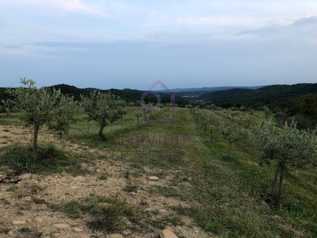 Poljoprivredno zemljište, Prodaja, Cerovlje, Draguć