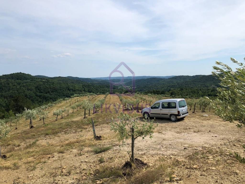 Poljoprivredno zemljište, Prodaja, Cerovlje, Draguć