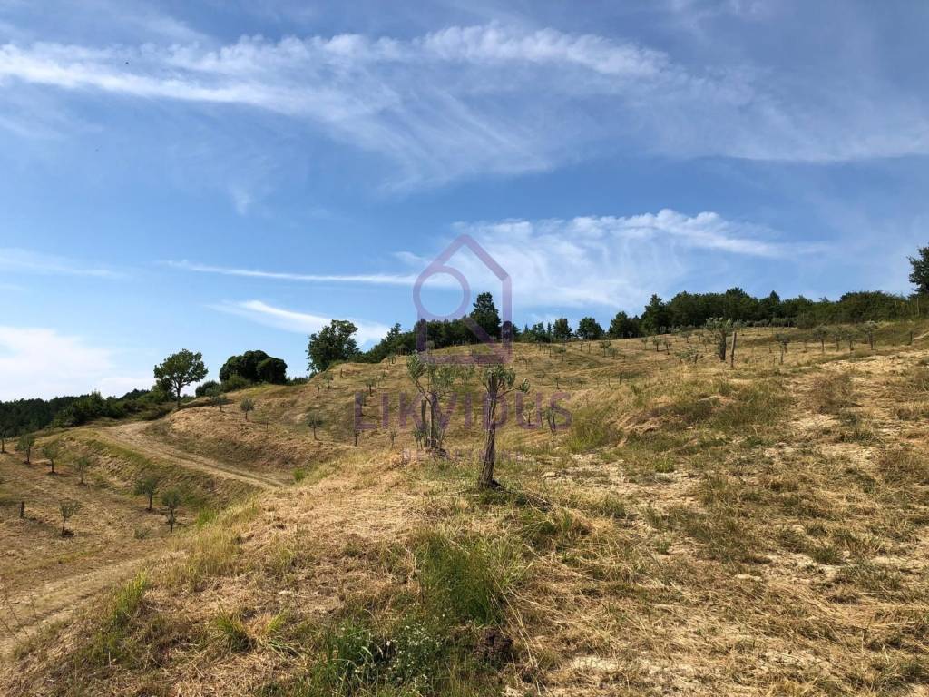 Poljoprivredno zemljište, Prodaja, Cerovlje, Draguć