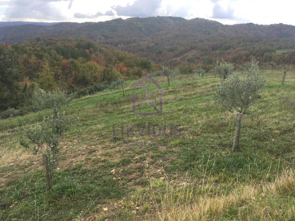 Poljoprivredno zemljište, Prodaja, Cerovlje, Draguć