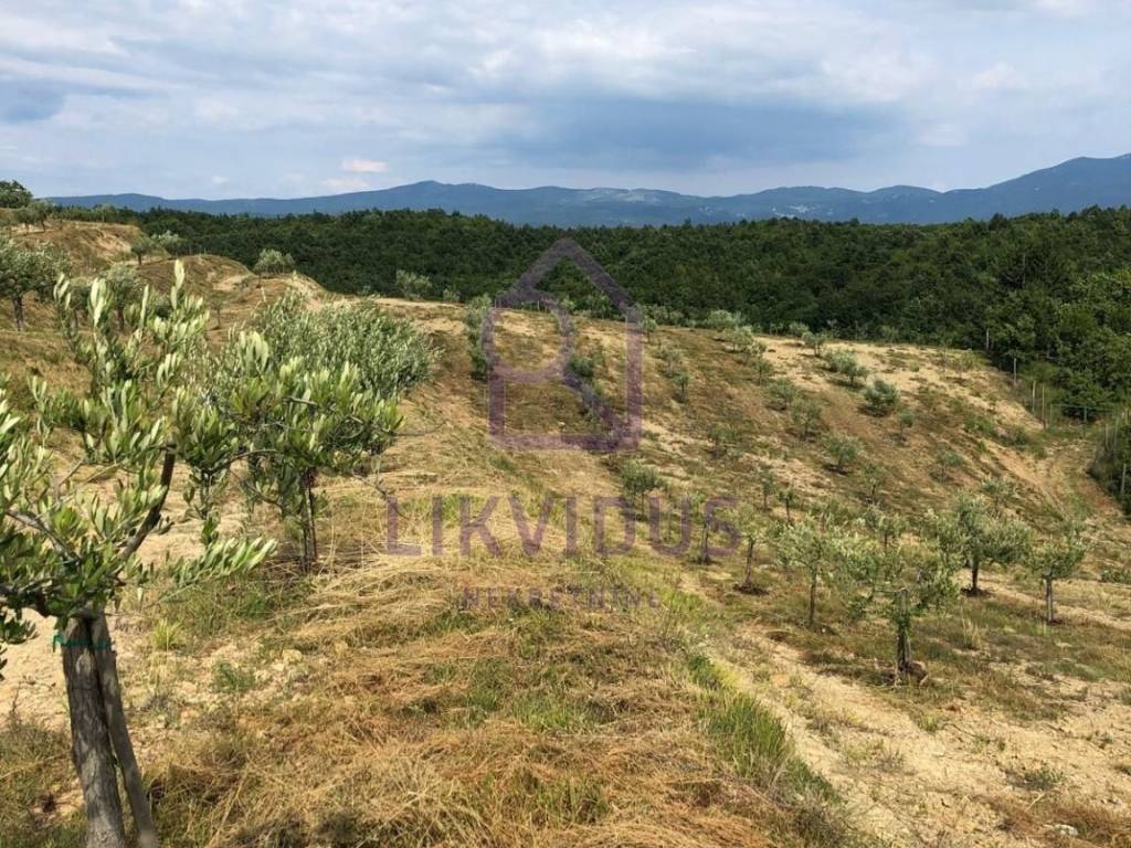 Poljoprivredno zemljište, Prodaja, Cerovlje, Draguć