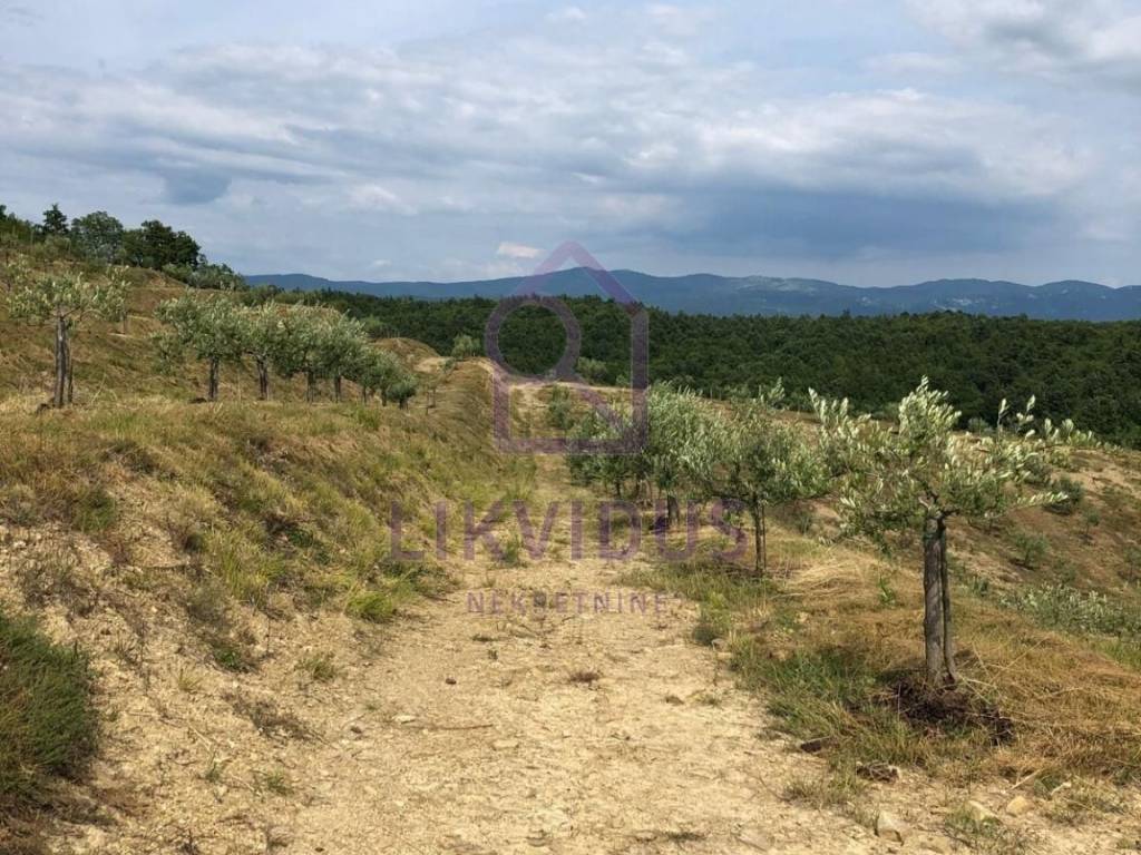 Poljoprivredno zemljište, Prodaja, Cerovlje, Draguć