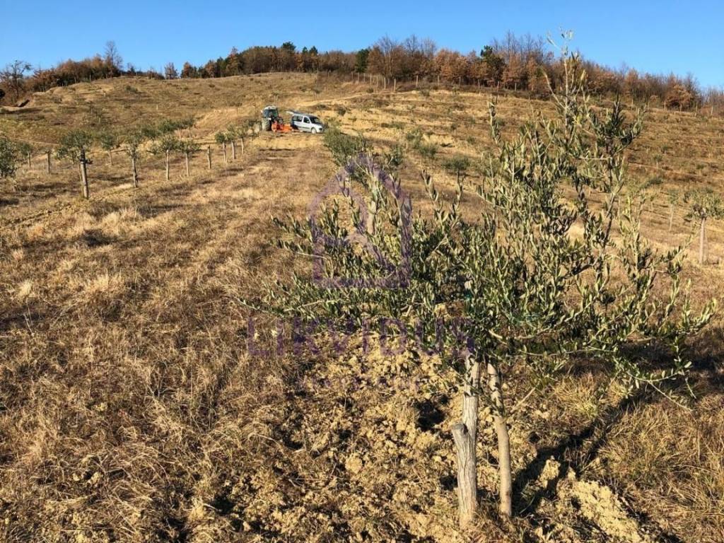 Poljoprivredno zemljište, Prodaja, Cerovlje, Draguć