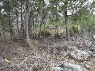 Poljoprivredno zemljište, Prodaja, Vir, Vir