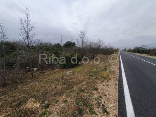 Građevinsko zemljište, Prodaja, Novigrad, Pridraga