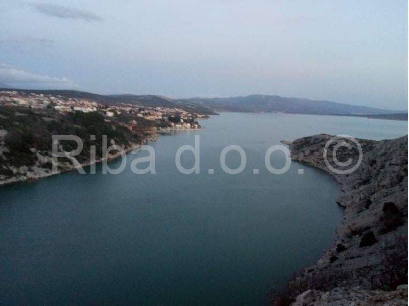 Građevinsko zemljište, Prodaja, Jasenice, Maslenica