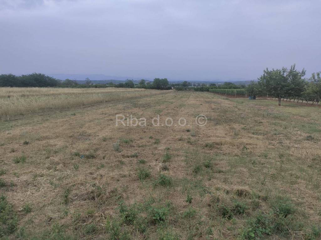 Poljoprivredno zemljište, Prodaja, Sveti Filip i Jakov, Sveti Filip i Jakov