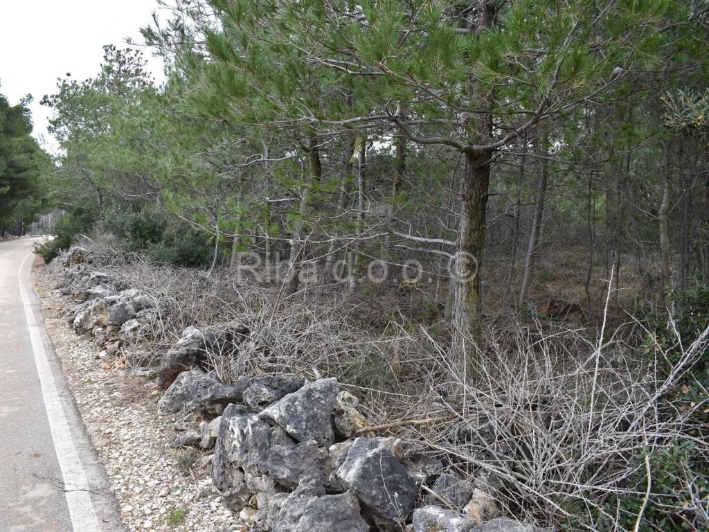 Poljoprivredno zemljište, Prodaja, Vir, Vir