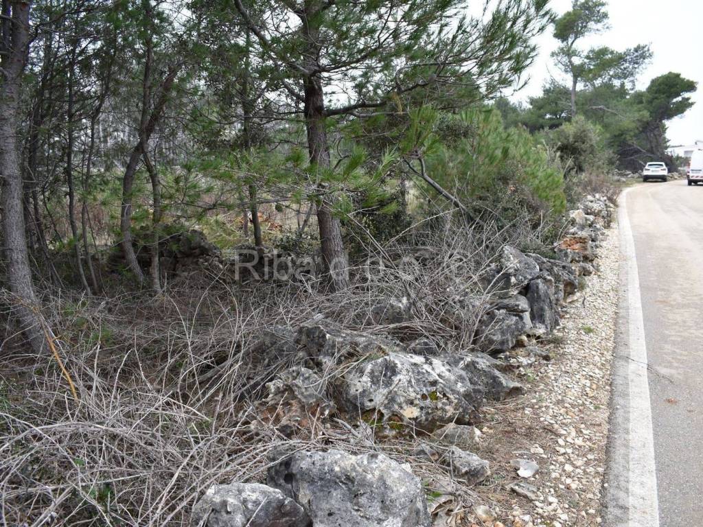 Poljoprivredno zemljište, Prodaja, Vir, Vir