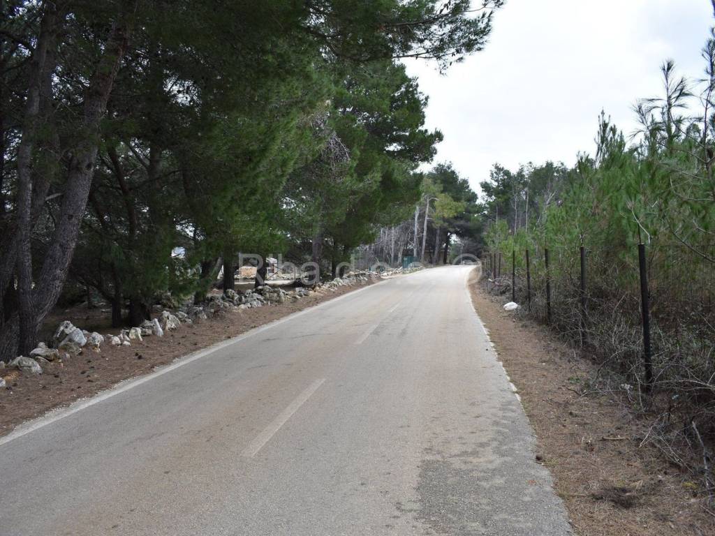 Poljoprivredno zemljište, Prodaja, Vir, Vir