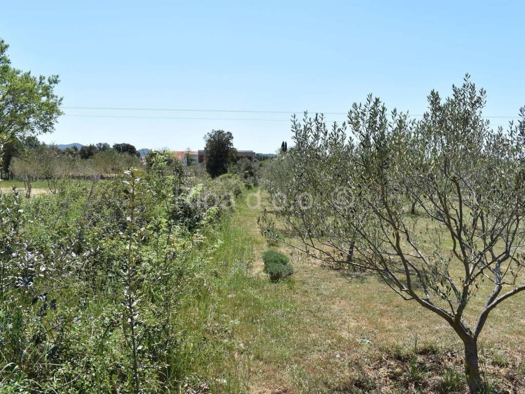 Građevinsko zemljište, Prodaja, Sukošan, Sukošan