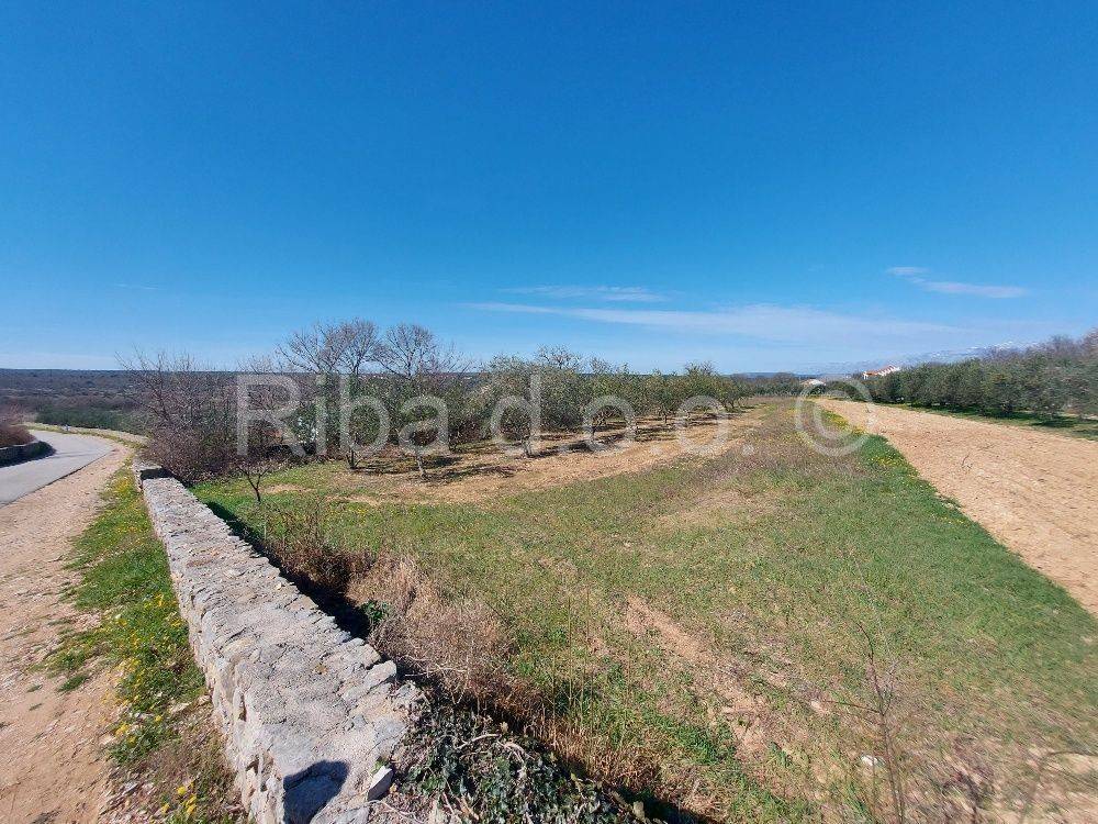 Građevinsko zemljište, Prodaja, Novigrad, Pridraga