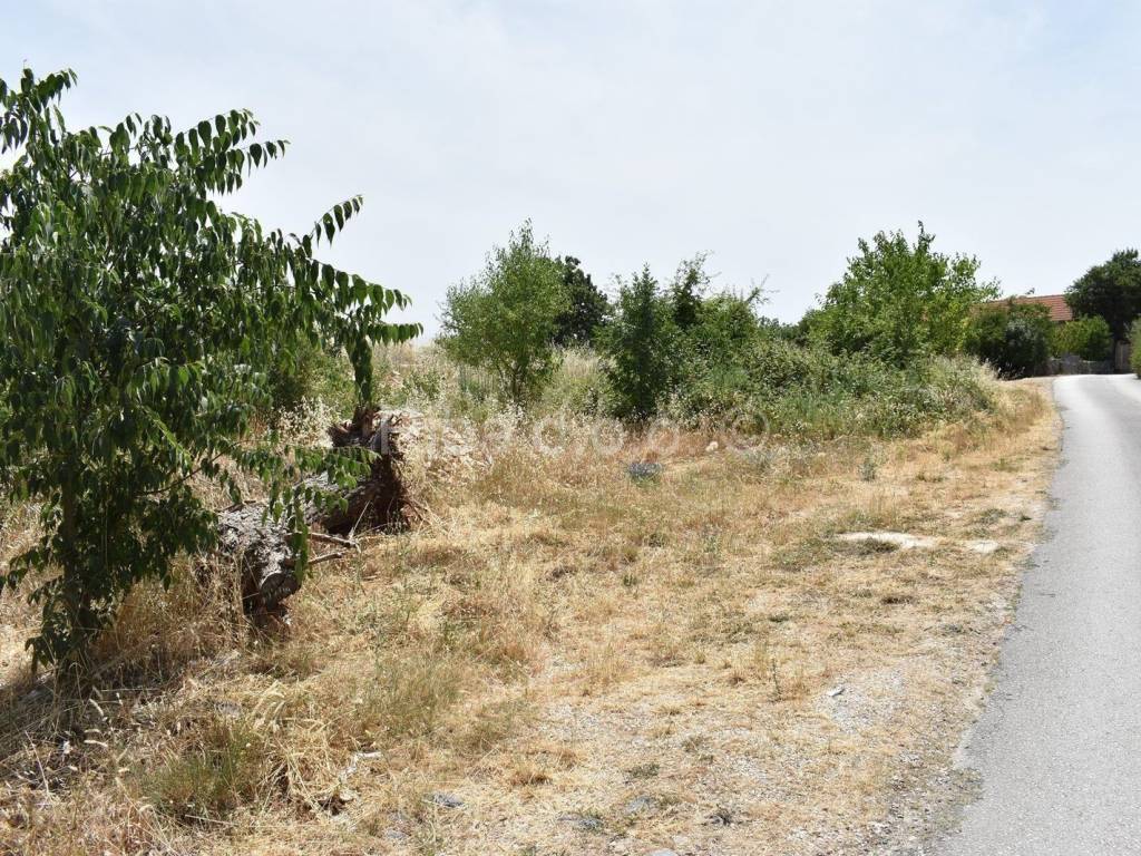Građevinsko zemljište, Prodaja, Novigrad, Pridraga