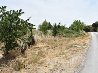 Građevinsko zemljište, Prodaja, Novigrad, Pridraga