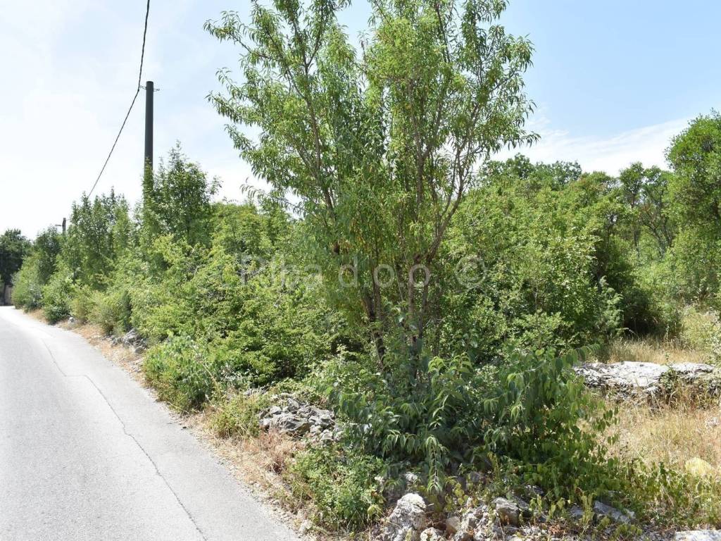 Građevinsko zemljište, Prodaja, Novigrad, Pridraga