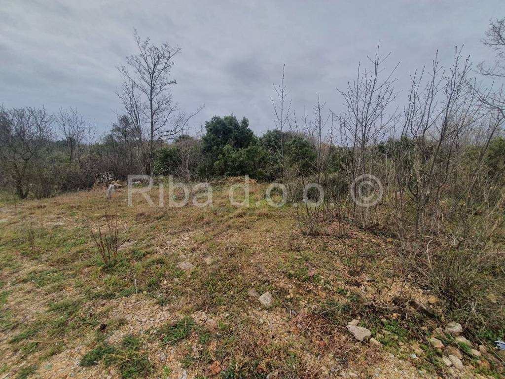 Građevinsko zemljište, Prodaja, Novigrad, Pridraga