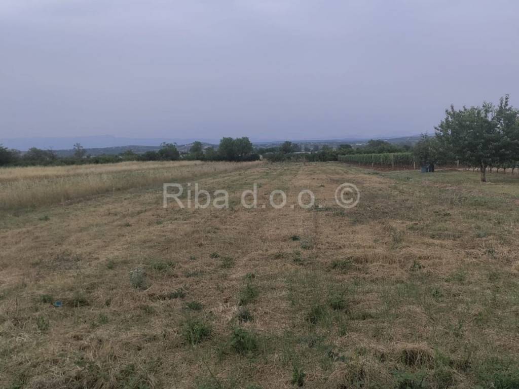 Poljoprivredno zemljište, Prodaja, Sveti Filip i Jakov, Sveti Filip i Jakov
