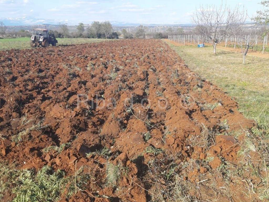 Poljoprivredno zemljište, Prodaja, Sveti Filip i Jakov, Sveti Filip i Jakov