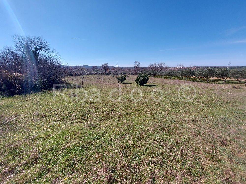 Građevinsko zemljište, Prodaja, Novigrad, Pridraga